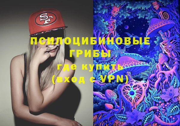 прущий лед Арсеньев